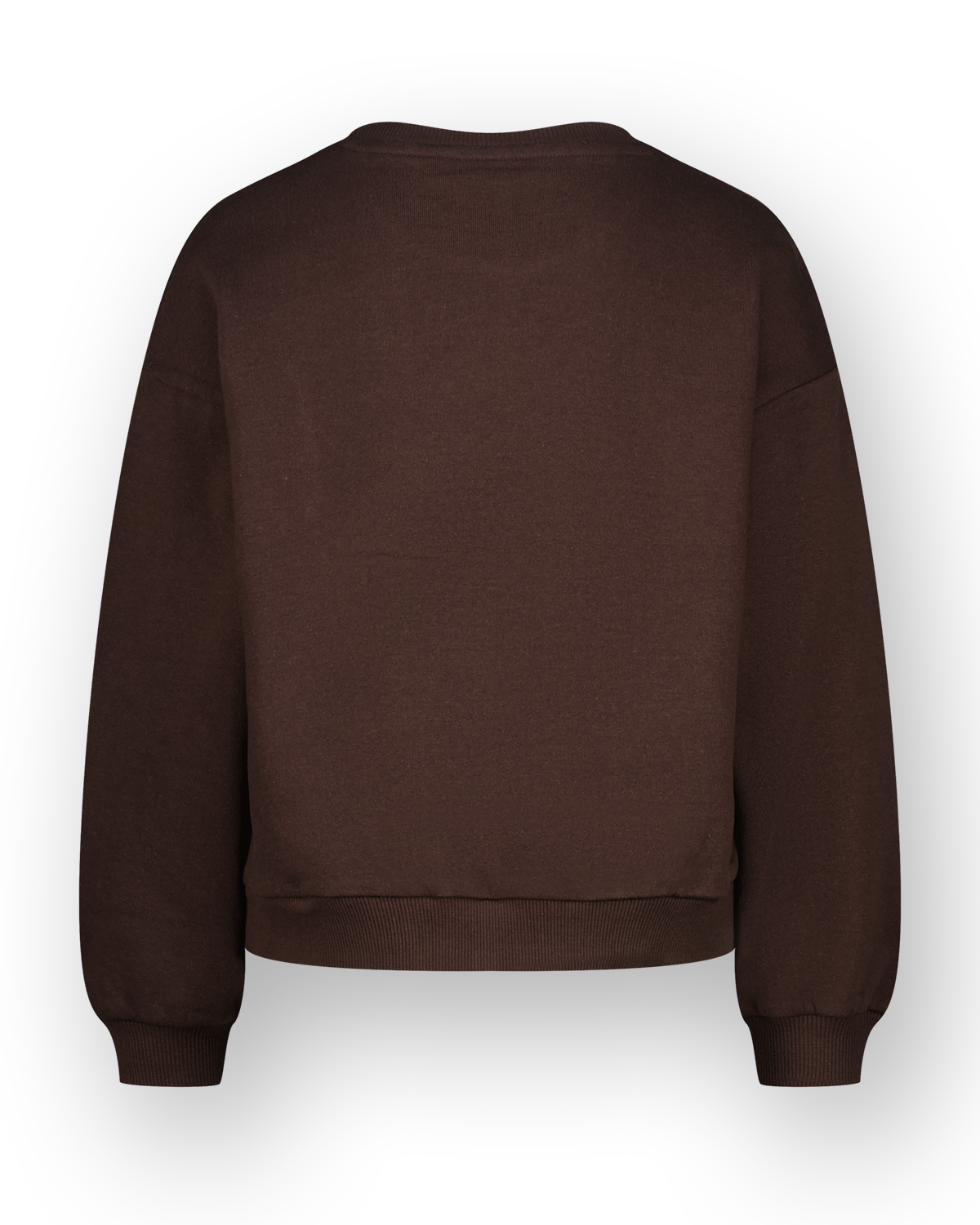 Sweatshirt Sem