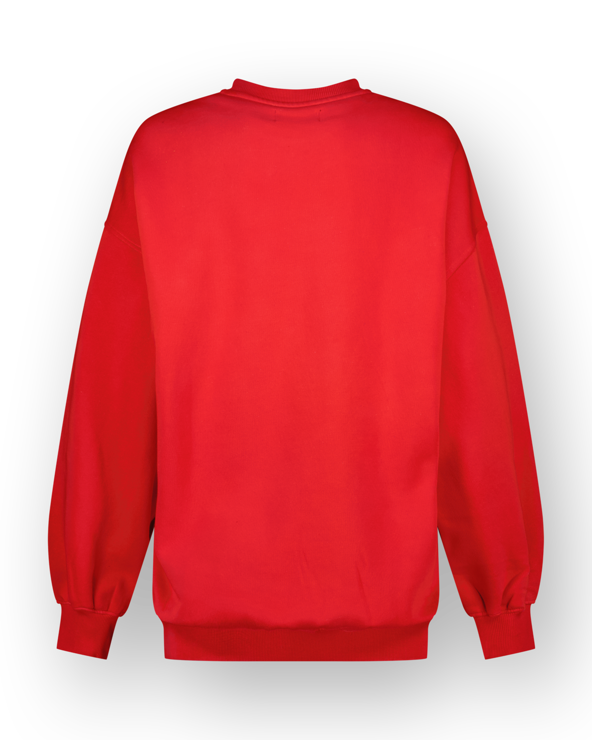 Sweatshirt Aiva