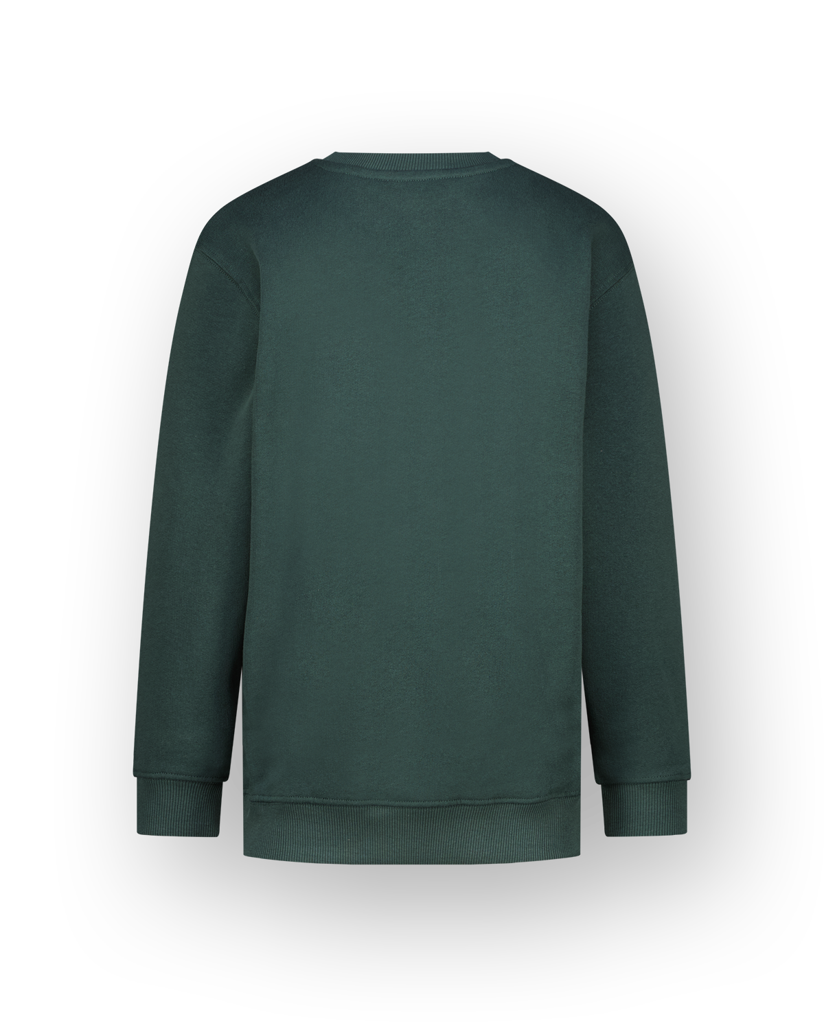 Jungen Sweatshirt Seasy