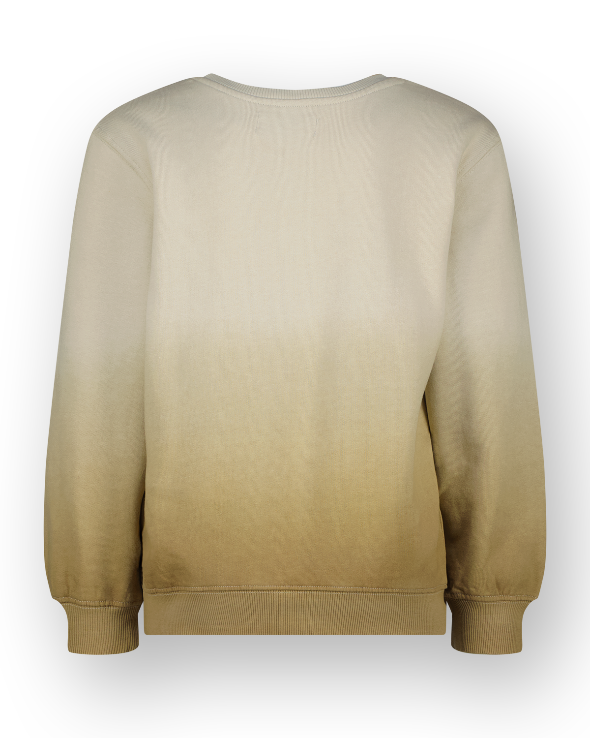 Sweatshirt Male