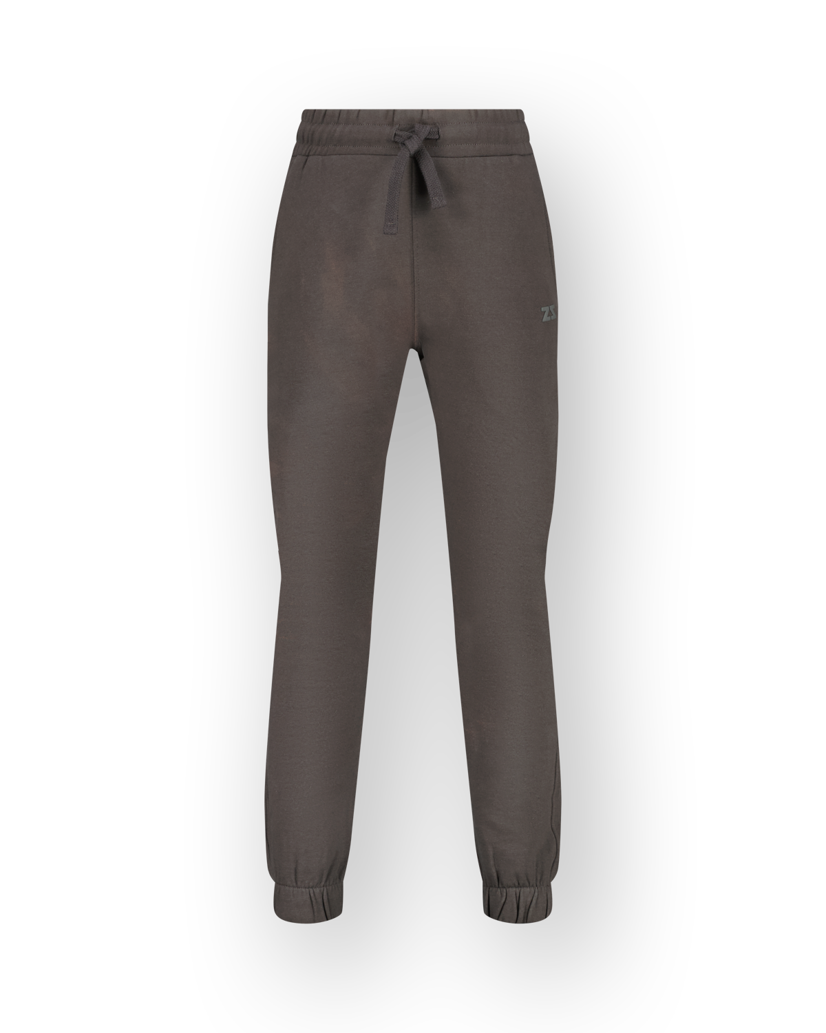 Pant Silver