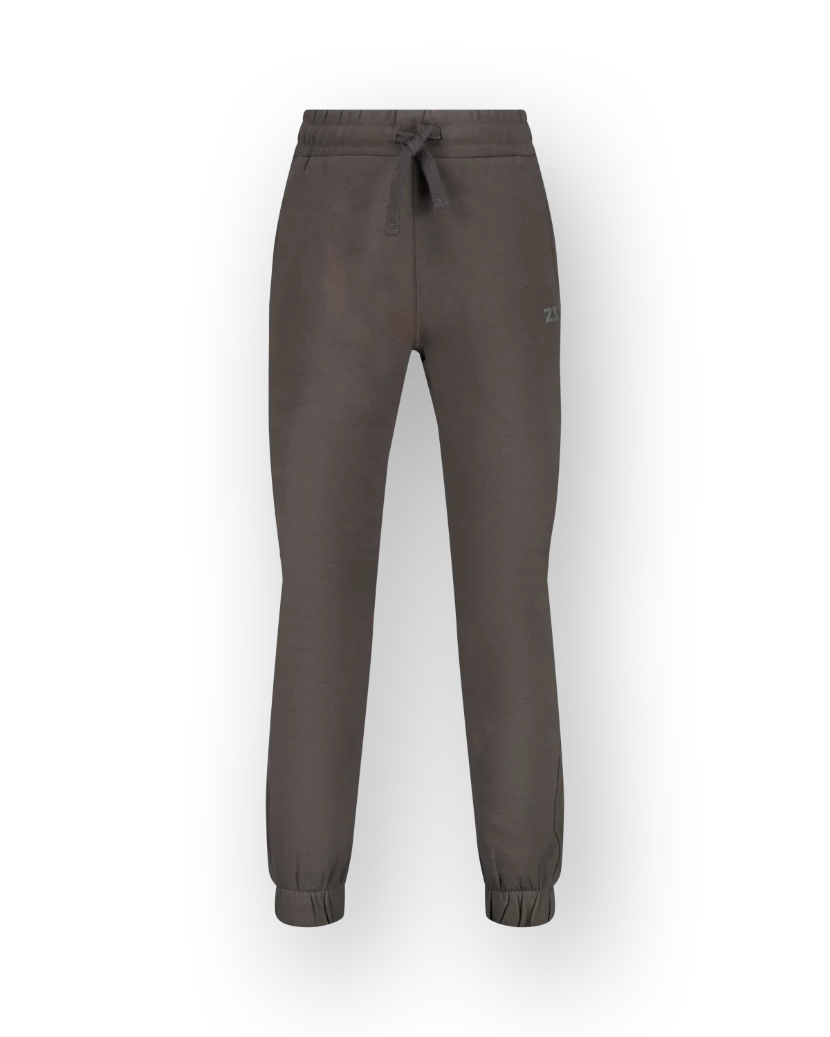 Pant Silver