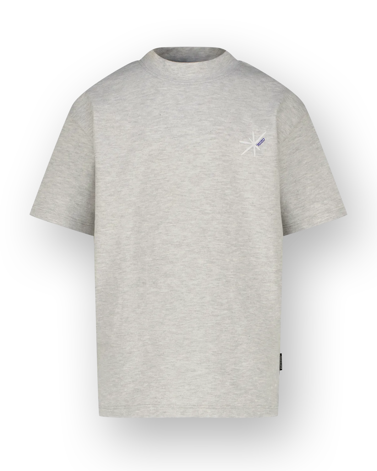 Jongen Boxy T-shirt Holden | Grijs