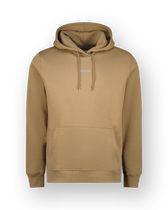 Hoody Newton
