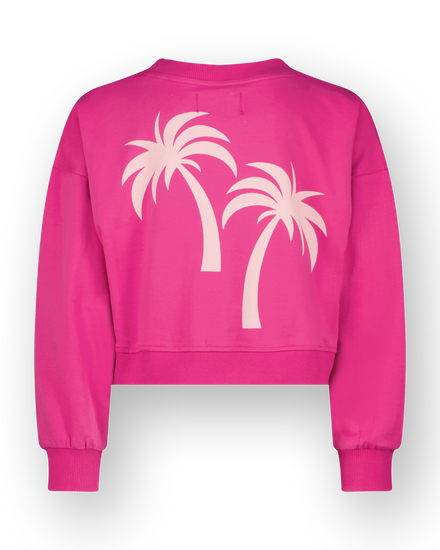 Sweater Rubin