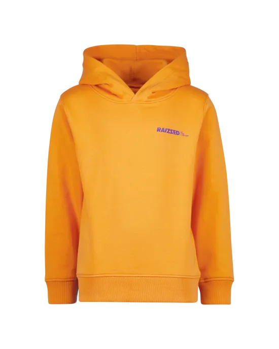 Sweater Newfield