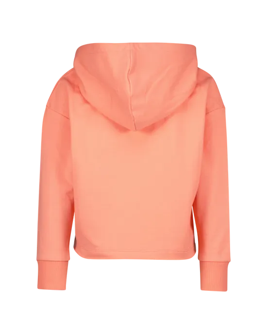 Sweater Wajima